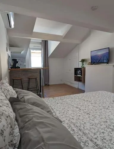 2e Grand Hyper Centre - Clim - Jacobins Apartment Agen